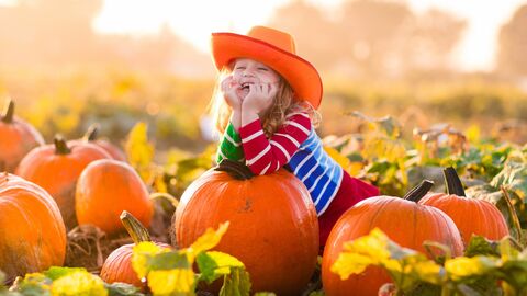 Herbststimmung Lachendes Kind liegt lachend in einem Kürbisfeld bei schönstem Herbstwetter. Das kind trägt einen orangen Hut.