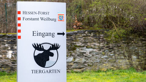 Ministerpräsident Boris Rhein hat den Tiergarten Weilburg besucht und sich dort u.a. über das Angebot des Wildparks informiert. Ministerpräsident Boris Rhein hat den Tiergarten Weilburg besucht und sich dort u.a. über das Angebot des Wildparks informiert.