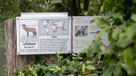 Eine große Infotafel beschreibt das Leben der Löffelhunde